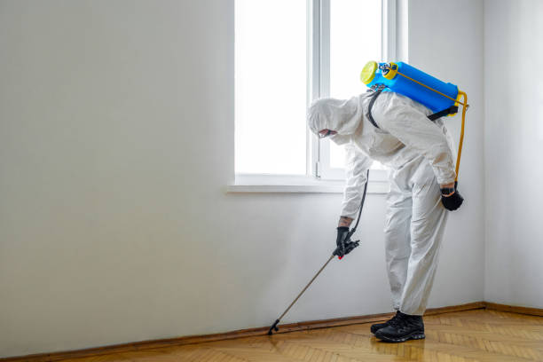 Reliable North Seekonk, MA Pest control Solutions